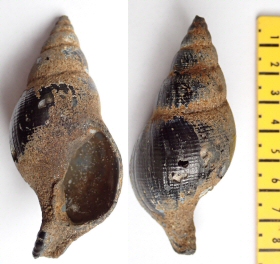 &copy;  Thijs de Boer